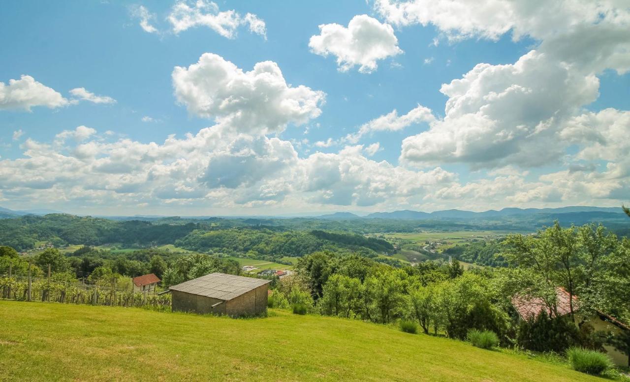 Holiday Home Bor Podčetrtek Exteriér fotografie